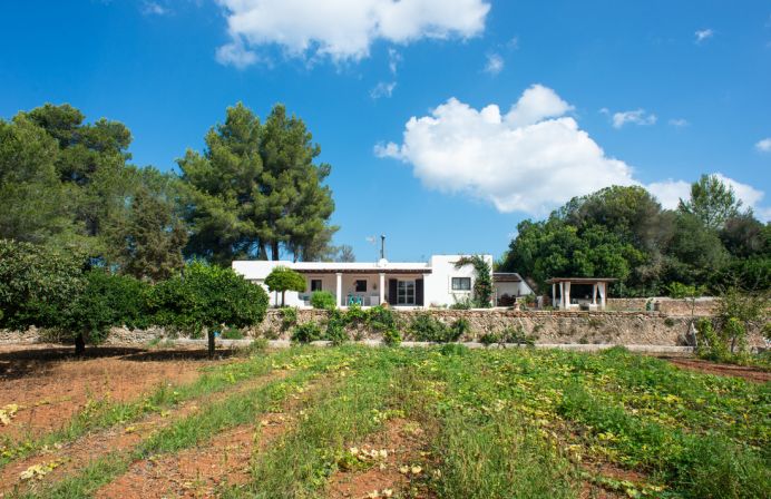 Casa Mateo | San Rafael